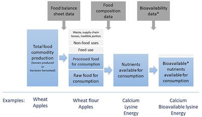 Estimating cropland requirements for global food system scenario modeling